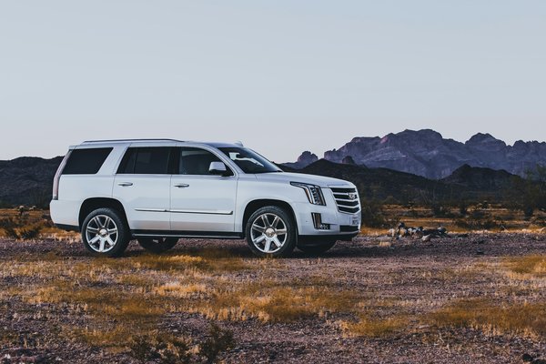 Quels sont les critères de sécurité à vérifier avant d'acheter un SUV familial ?